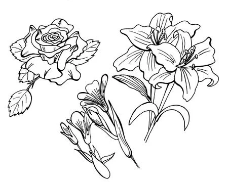 Set of doodle floral elements Illustrazione stock