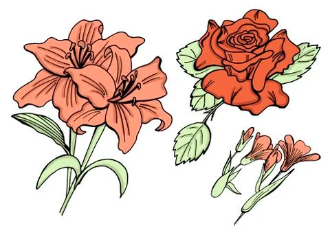 Set of doodle floral elements Stock Illustration