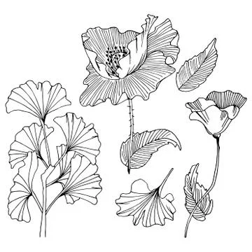 Set of doodle floral elements 库存插图