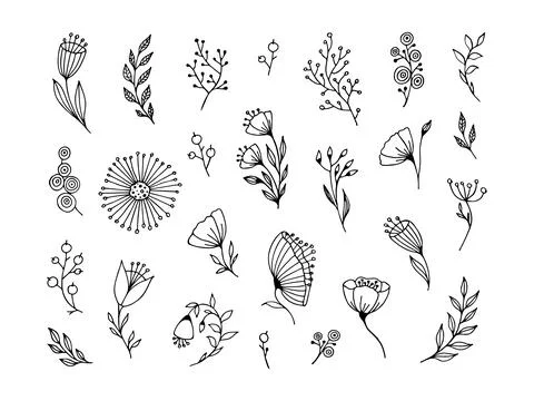 Set of doodle flower and branches Stock Illustration