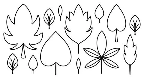 Set Doodle Leaves. Contour different forms Botany. Linear coloring of Plants Stock Illustration