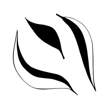 Set of doodle tree leaves. Vector linear botanical illustration. Zentangle co Stock Illustration