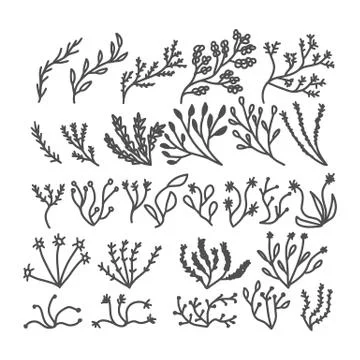 Set of doodle twig. Hand drawn branch icons. Vector collection  illustration. Stock Illustration