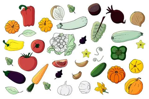 Set of Doodle vegetables Stock Illustration