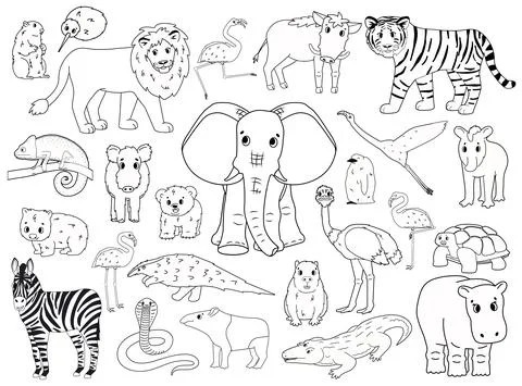 Set of doodle world animals. Vector outline cartoon isolated graphic hand drawn Stock Illustration
