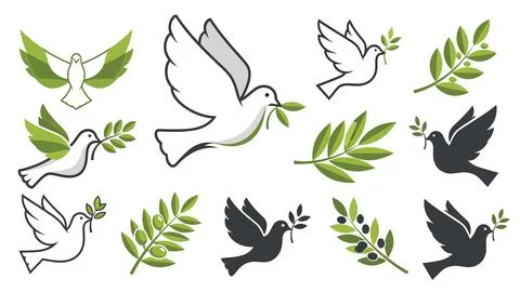 Set of dove with olive branch vector illustrations on white background, pea.. Stock Illustration