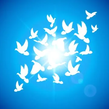 Set doves Stock Illustration