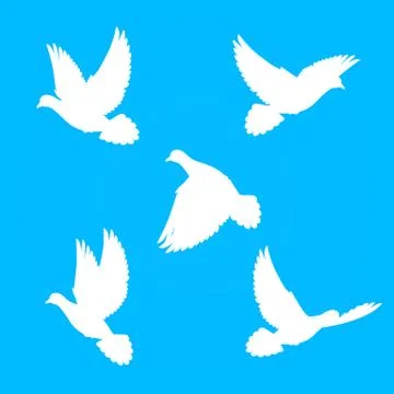 Set doves Stock Illustration