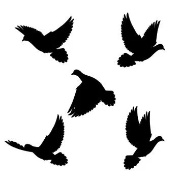 Set doves Stock Illustration
