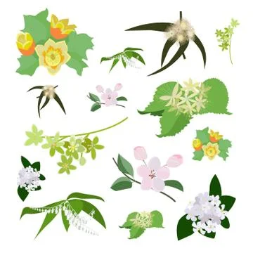 Set of drawing wild flowers Stock Illustration