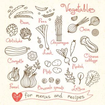 Set drawings of vegetables for design menus, recipes and packages product Stock Illustration