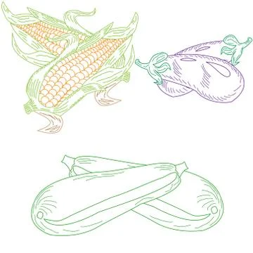 Set drawn dudovich vegetables Stock Illustration