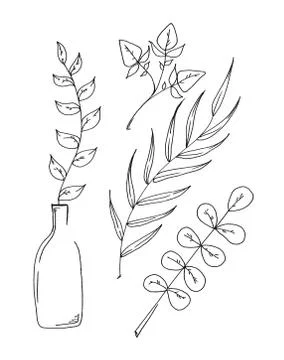 Set of drawn outline leaf isolated on white background. Illustrazione stock