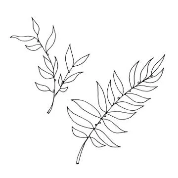 Set of drawn outline leaf isolated on a white background. Stock Illustration