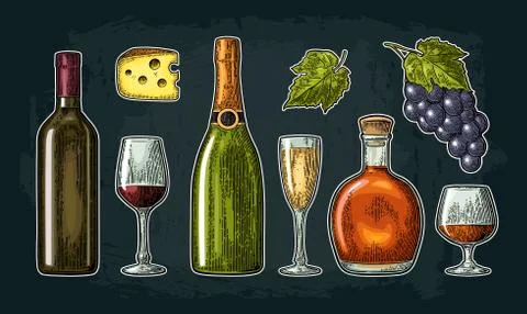 Set drinks made from grapes. Wine, brandy, champagne Stock Illustration