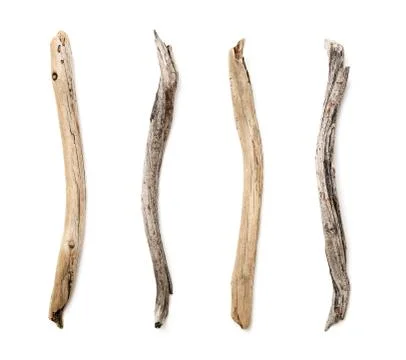 Set of dry tree branch Stock Photos