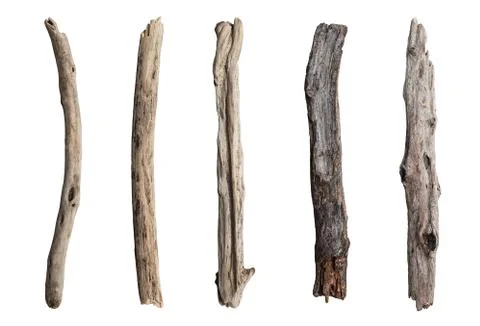Set of dry tree branch Stock Photos