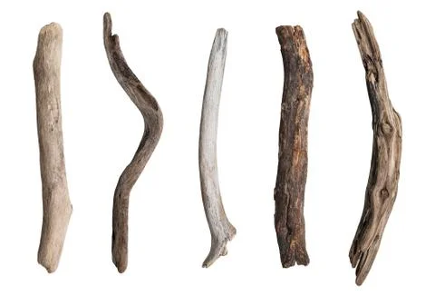 Set of dry tree branch Stock Photos