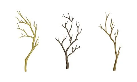 Set of dry tree branches. Bare twigs without leaves vector illustration Stockillustratie