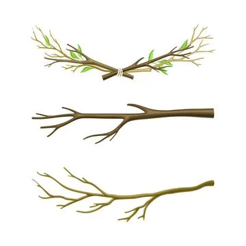 Set of dry tree branches. Ttwigs tied with rope vector illustration Stock Illustration