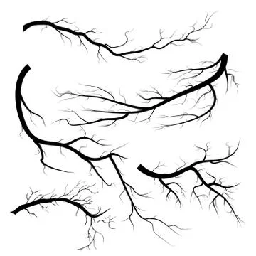 Set of dry twigs, on white background. Trees branch silhouette, isolated Stock-Illustration