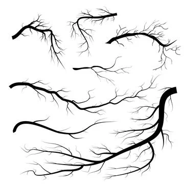 Set of dry twigs, on white background. Trees branch silhouette, isolated Illustrazione stock