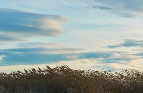 A set of dusters Stock Photos