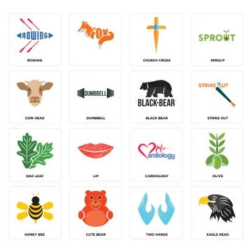 Set of eagle head, two hands, honey bee, cardiology, oak leaf, black bear, co Free Stock Illustration