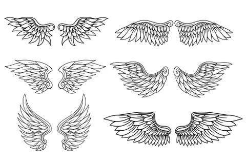 Set of eagle or angel wings Stock Illustration