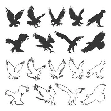 Set of eagle silhouette and line art icons design vector illustration Stock Illustration