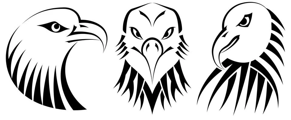 Set Eagles Heads Stock Illustration