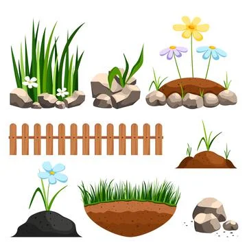 Set of early spring green grass and flowers. Summer in garden. Stock Illustration