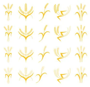 Set Ears of Wheat, Barley or Rye Stock Illustration