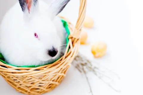 Set of easter things Stock Photos