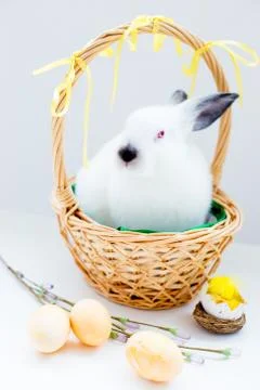 Set of easter things Stock Photos