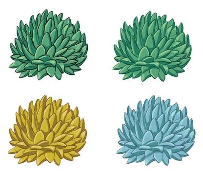 Set of echeveria in different colors Stock Illustration