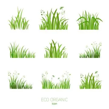 Set Eco green grass Stock Illustration