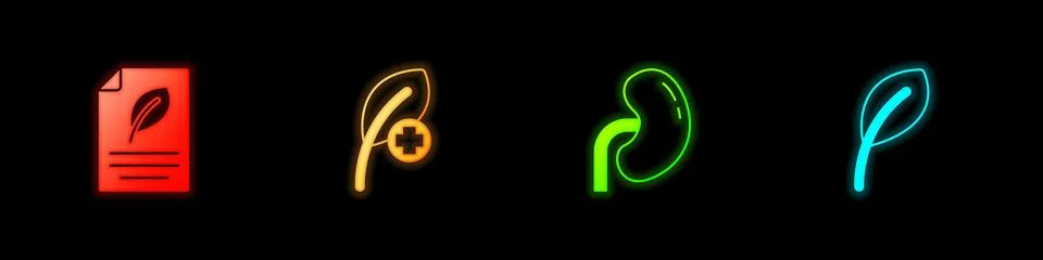 Set Eco paper with leaf, Leaf or leaves, Human kidney and  icon. Vector Stock Illustration