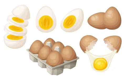 Set of eggs in different cooking stages cartoon illustration. Collection of Stock Illustration