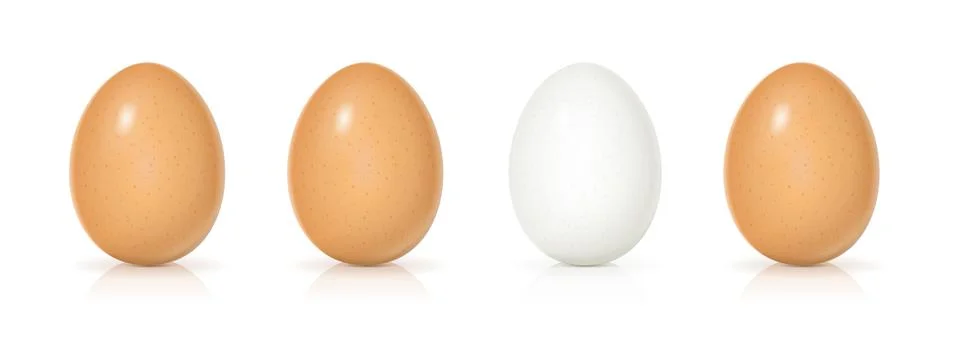 Set of eggs. Stock Illustration