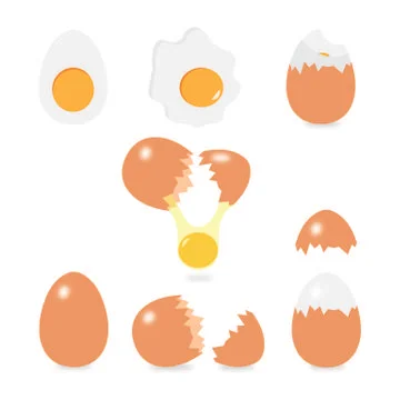 Set of eggs vector Stock Illustration