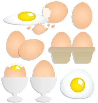 Set of eggs on white background Stock Illustration