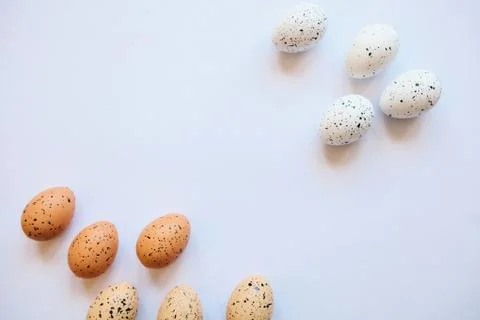 Set of eggs on a white background. Stock Photos