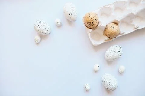 Set of eggs on a white background. 스톡 사진