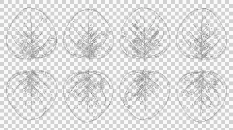 Set of eight black and white leaf silhouettes isolated on a white background 스톡 일러스트