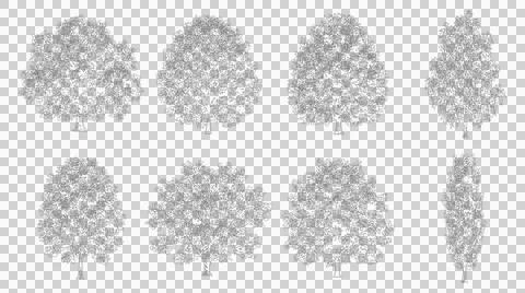 Set of eight deciduous tree line drawings isolated on transparent background Stock Illustration