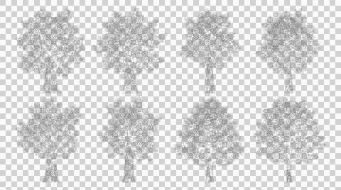 Set of eight deciduous trees in elevation view isolated on transparent Stock Illustration