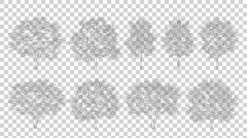 Set of eight deciduous trees isolated on transparent background Stock Illustration