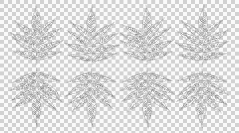 Set of eight detailed botanical leaf silhouettes isolated on white background Stock Illustration