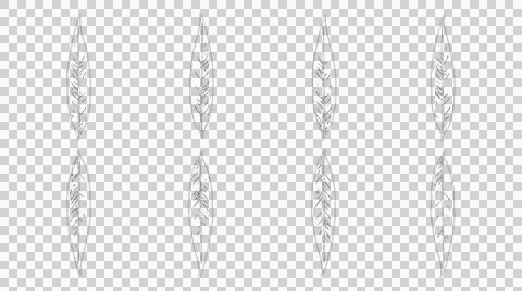 Set of eight hand drawn botanical leaf illustrations isolated on white back.. Stock Illustration